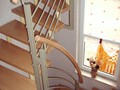 Stahltreppe mit Holzstufen 3